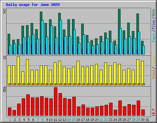 Daily usage for June 2025