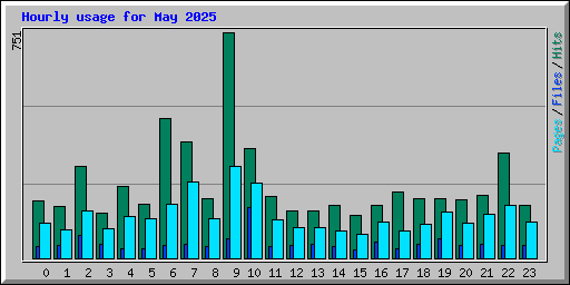 Hourly usage for May 2025