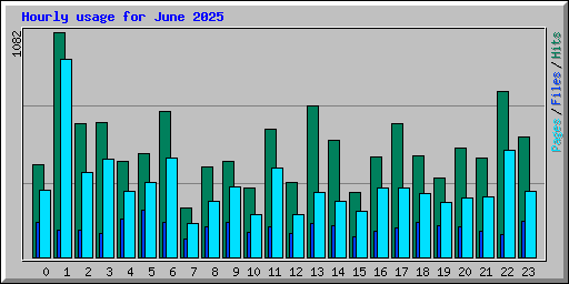 Hourly usage for June 2025