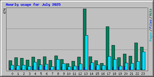 Hourly usage for July 2025