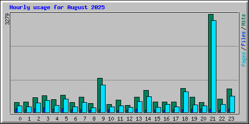 Hourly usage for August 2025