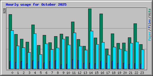 Hourly usage for October 2025